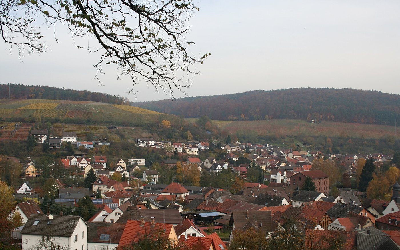 View of Elsenfeld